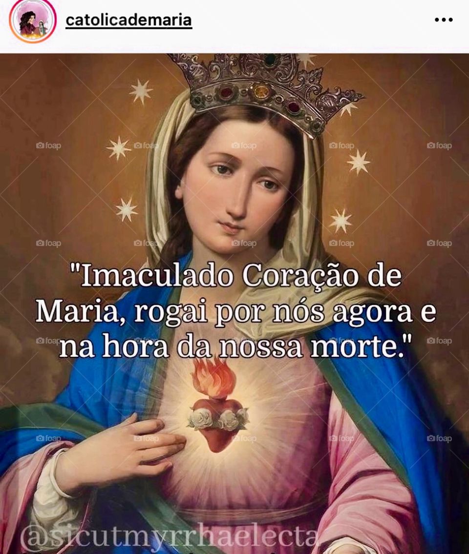 🙏 🇪🇸 Oh Maria, ruega por nosotros que recurrimos a ti.  Amén.  🇧🇷 Ó Maria, Nossa Senhora, rogai por nós que recorremos a vós. Amém. / 🇺🇸 O Mary, pray for us that we turn to you.  Amen. / 🇮🇹 O Madonna, prega per noi che ci rivolgiamo a te. Amen. 