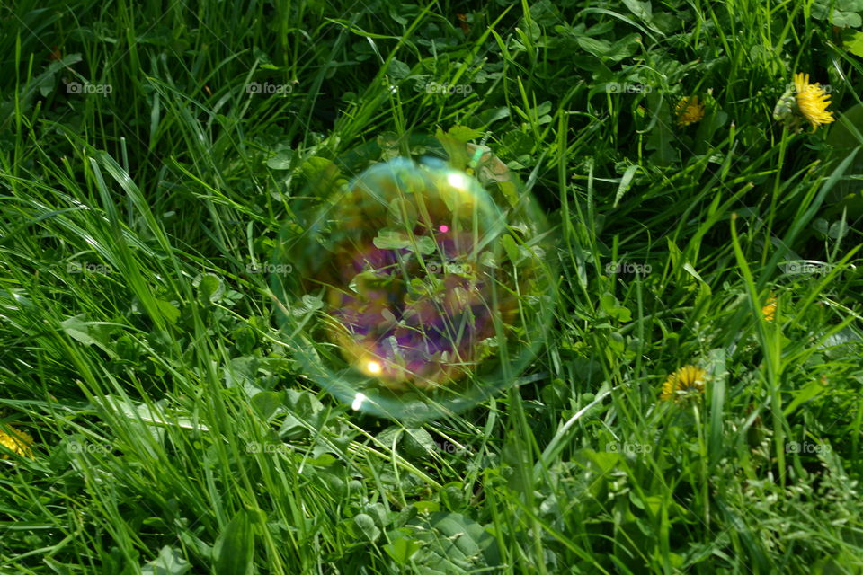 bubble