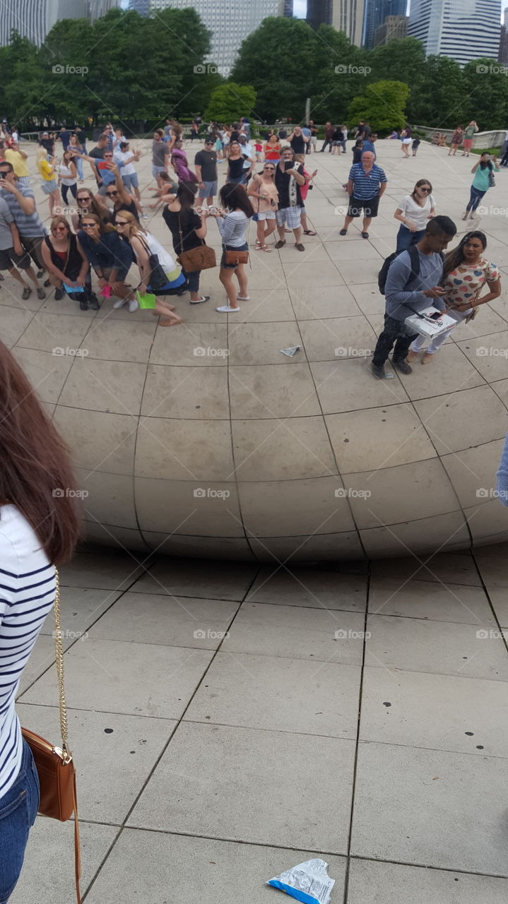Chicago Bean