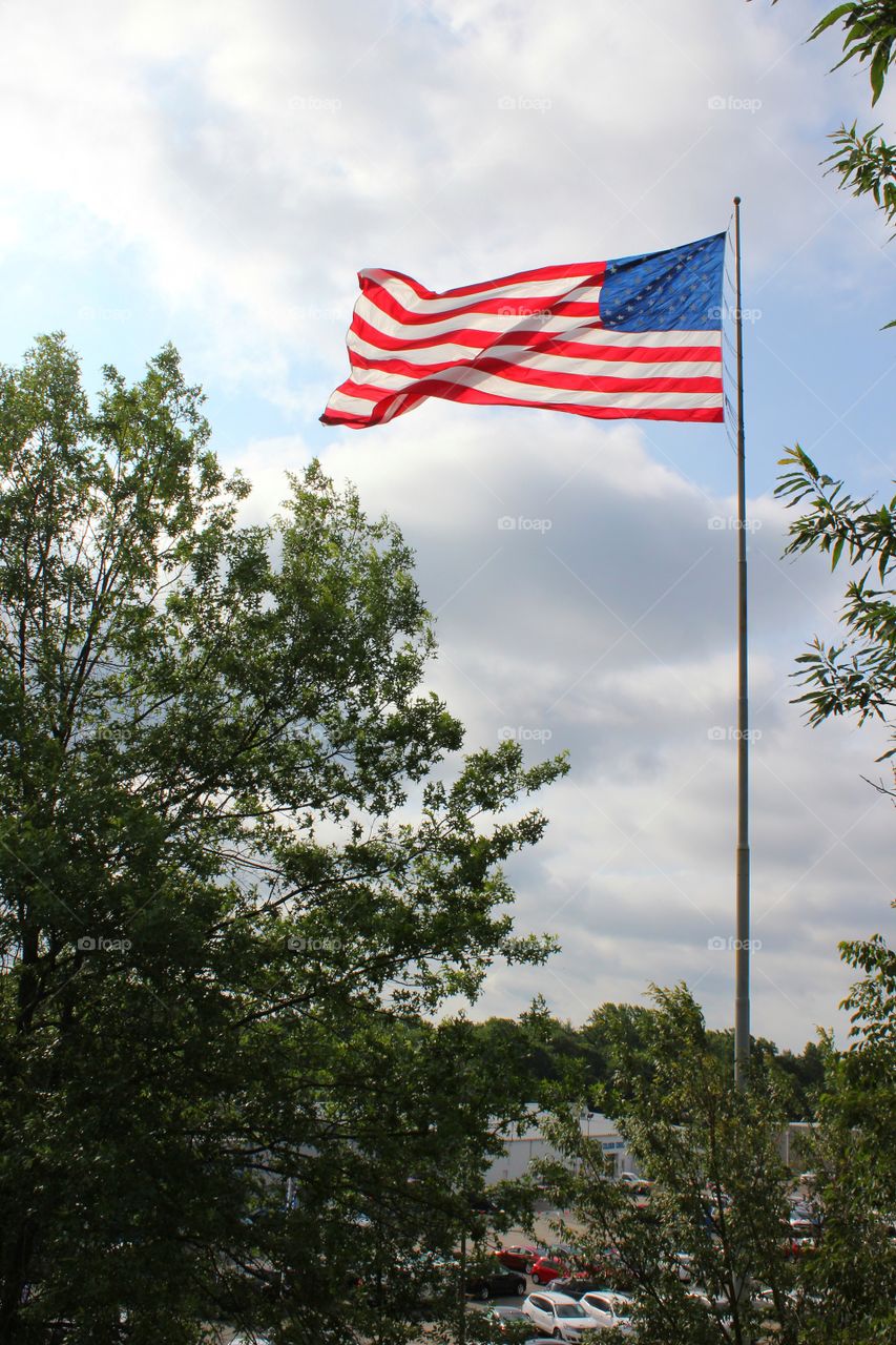 Favorite Flags