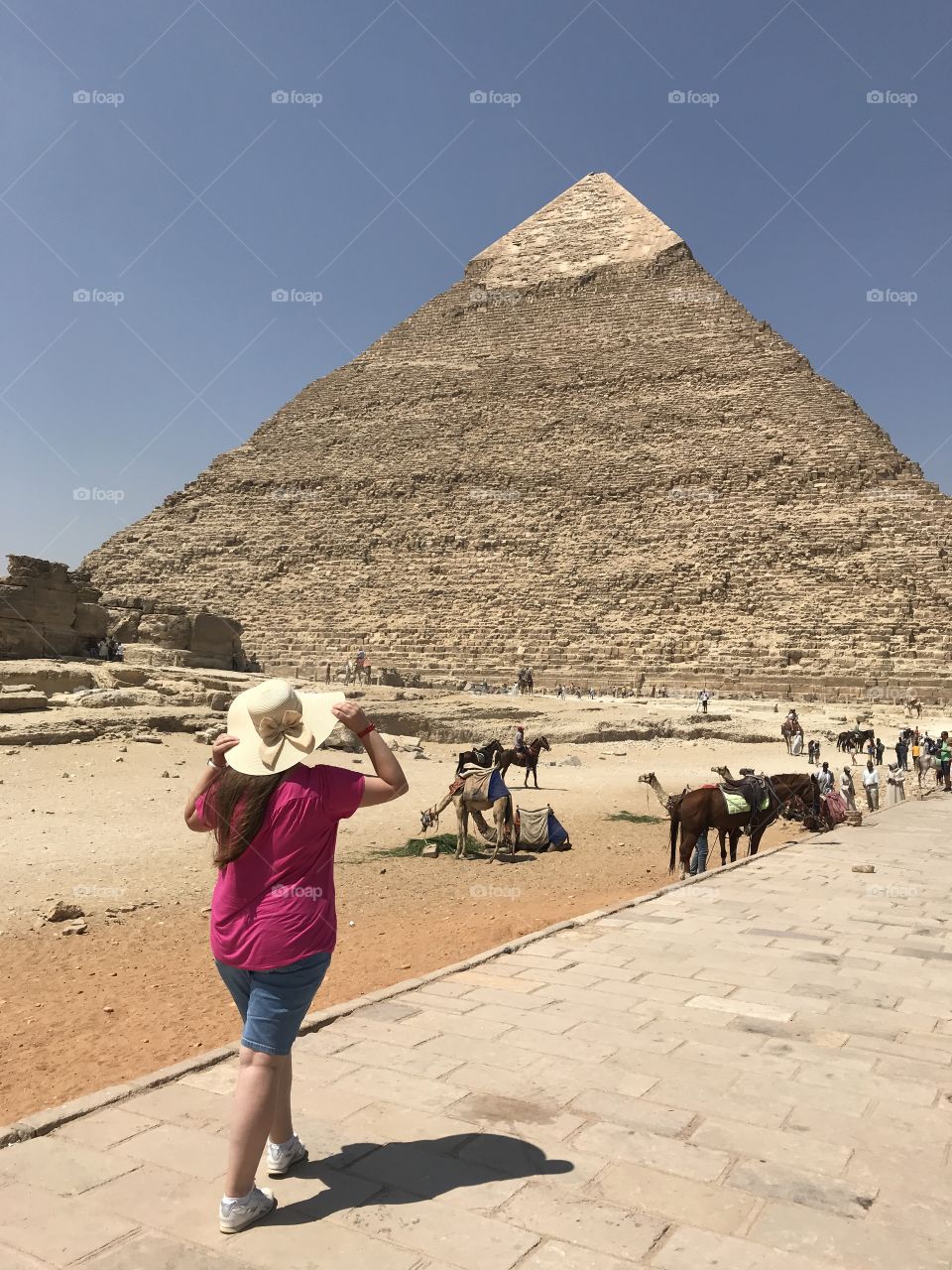 The great Pyramids of Giza. Pyramid of Khafre.