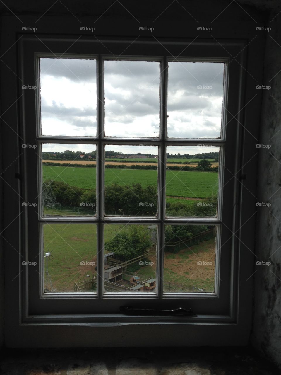Window view