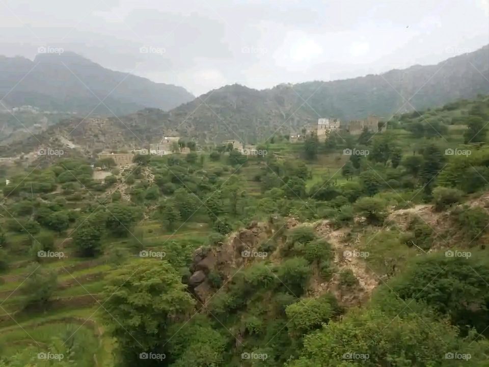 Glory be to God, the magnificent and picturesque view and the natural green trees are a view that is nothing more wonderful than it