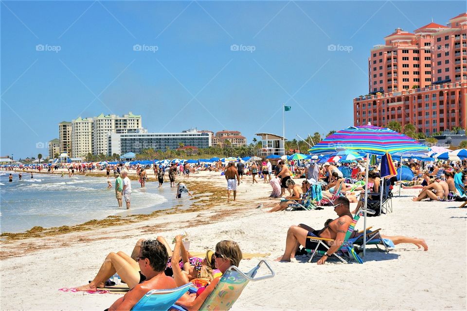 Clearwater Beach 