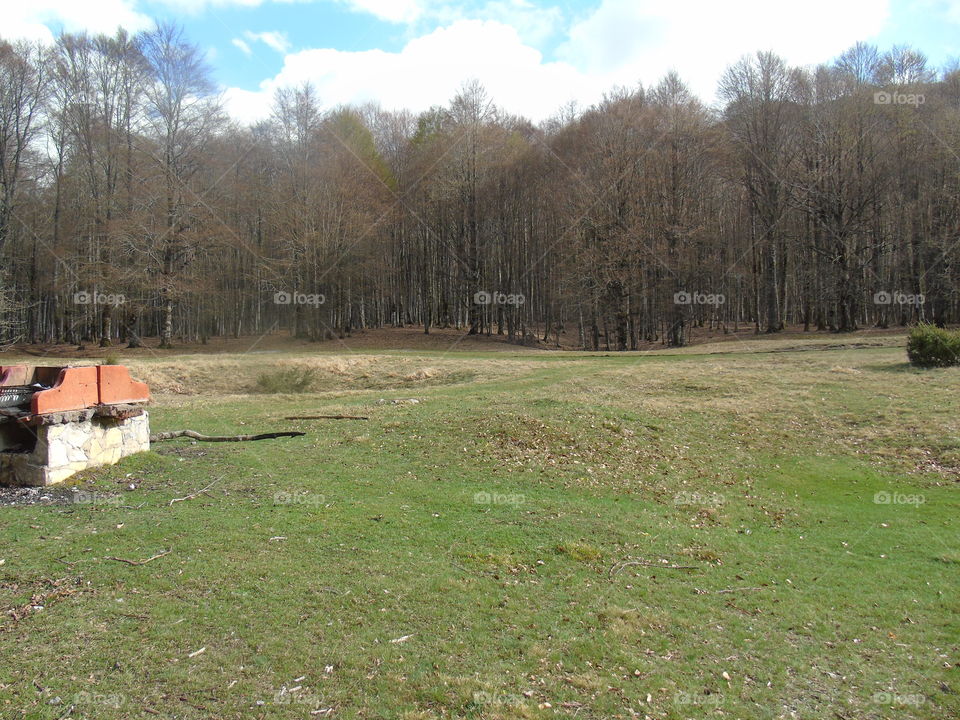 Landscape, Tree, Wood, Nature, Fall