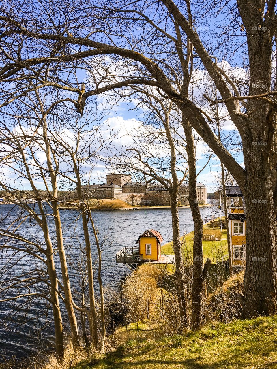 Fall, Tree, Landscape, Nature, No Person