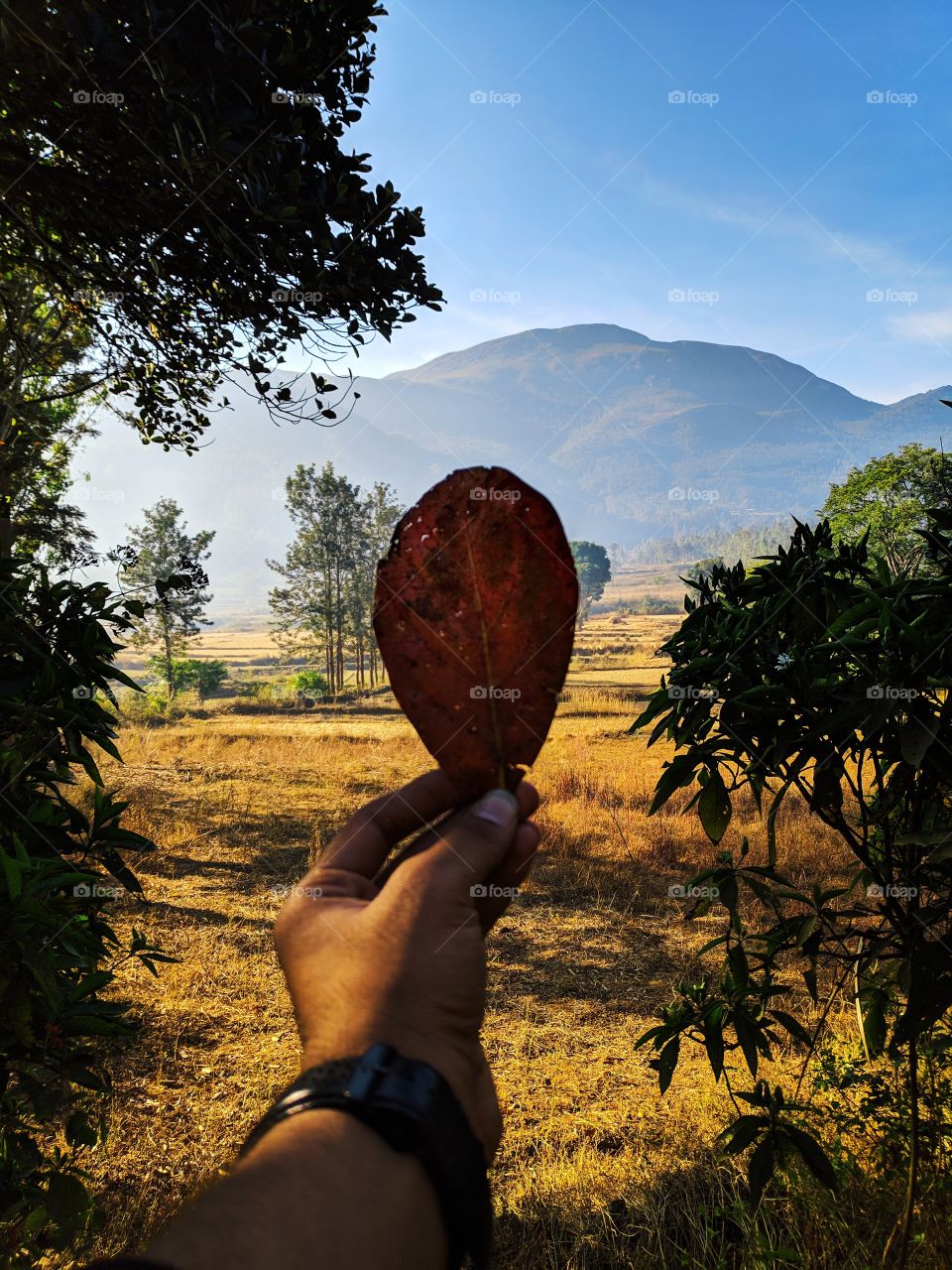 Point of view ❤️