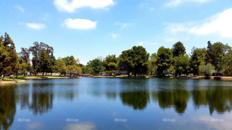 Lake. Reflections on the lake