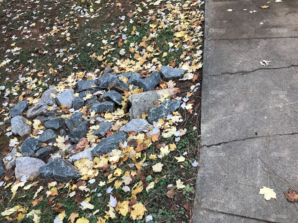 Sidewalk and stone 