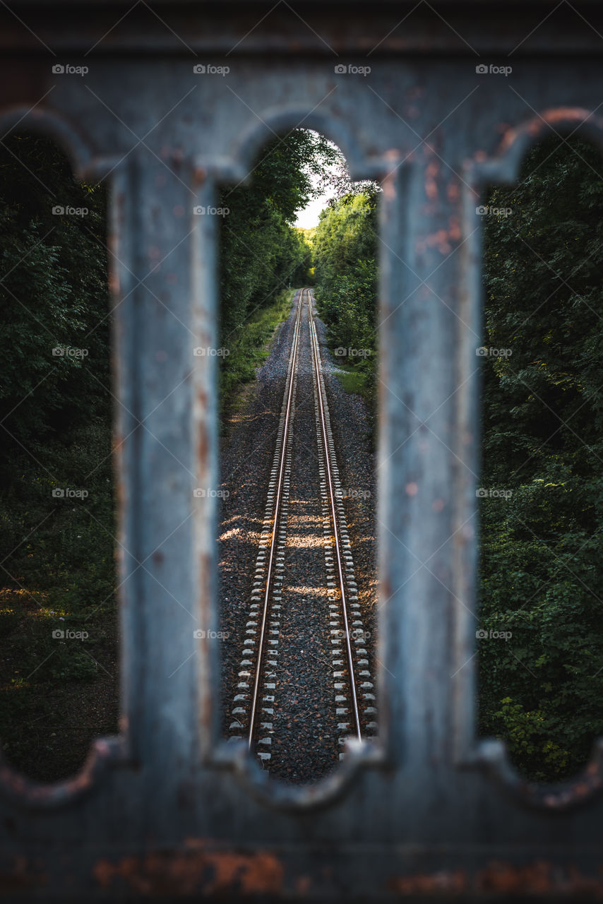 Railway in the woods 