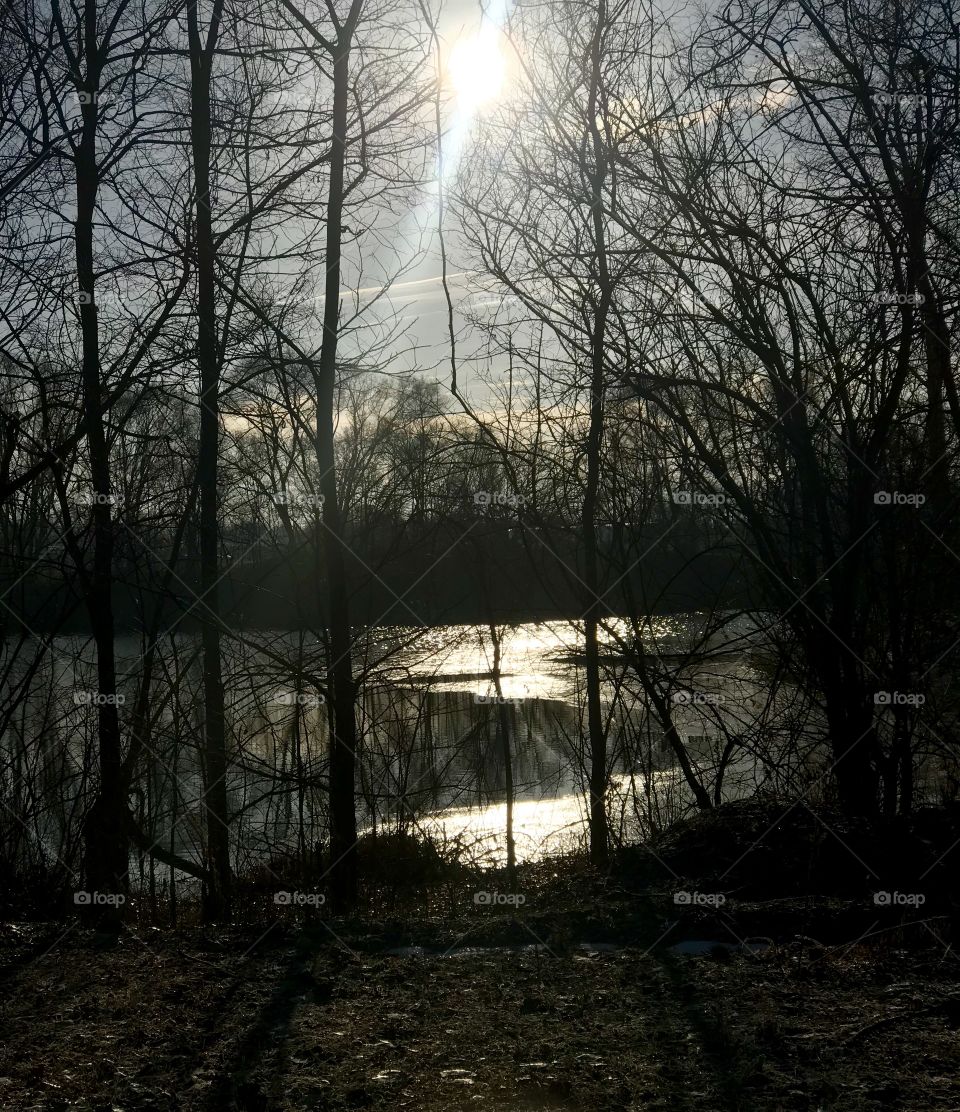 Winter sun on pond