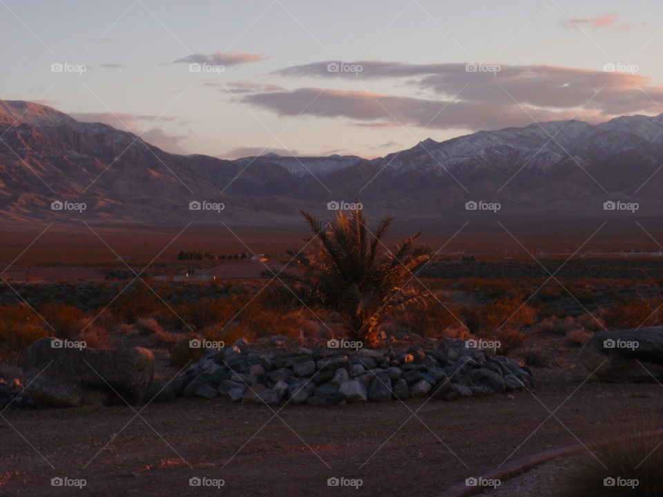 Evening in the desert 