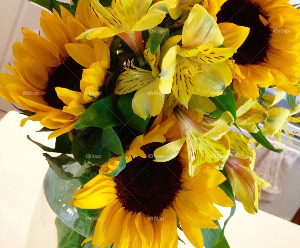 Sunflower happy