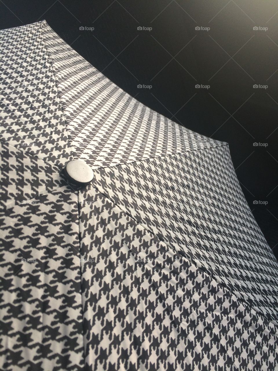 Dogtooth Umbrella. Captured this in the darkness of a taxi drive home one evening. Love how bold it looks, almost like outer space.