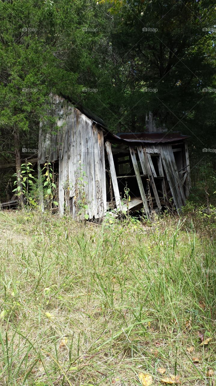 Falling Down Barn. I found this while hiking near Ava, Missouri in 2014.