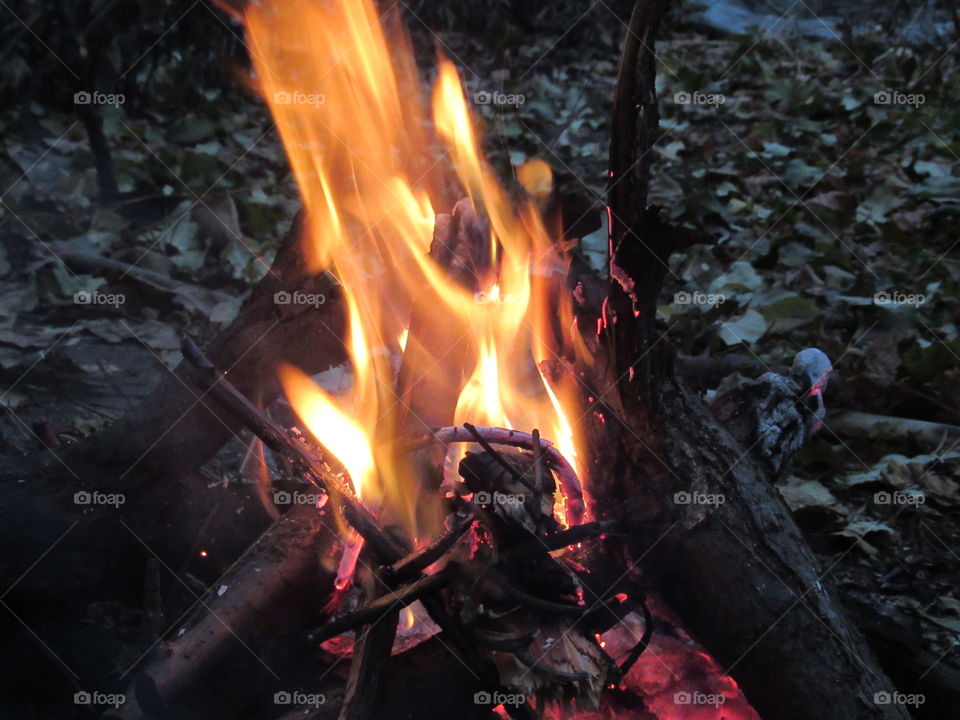 bonfire in the autumn evening