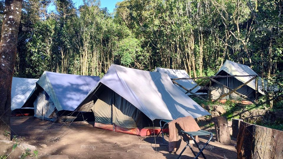 “Choose only one master—nature.” –