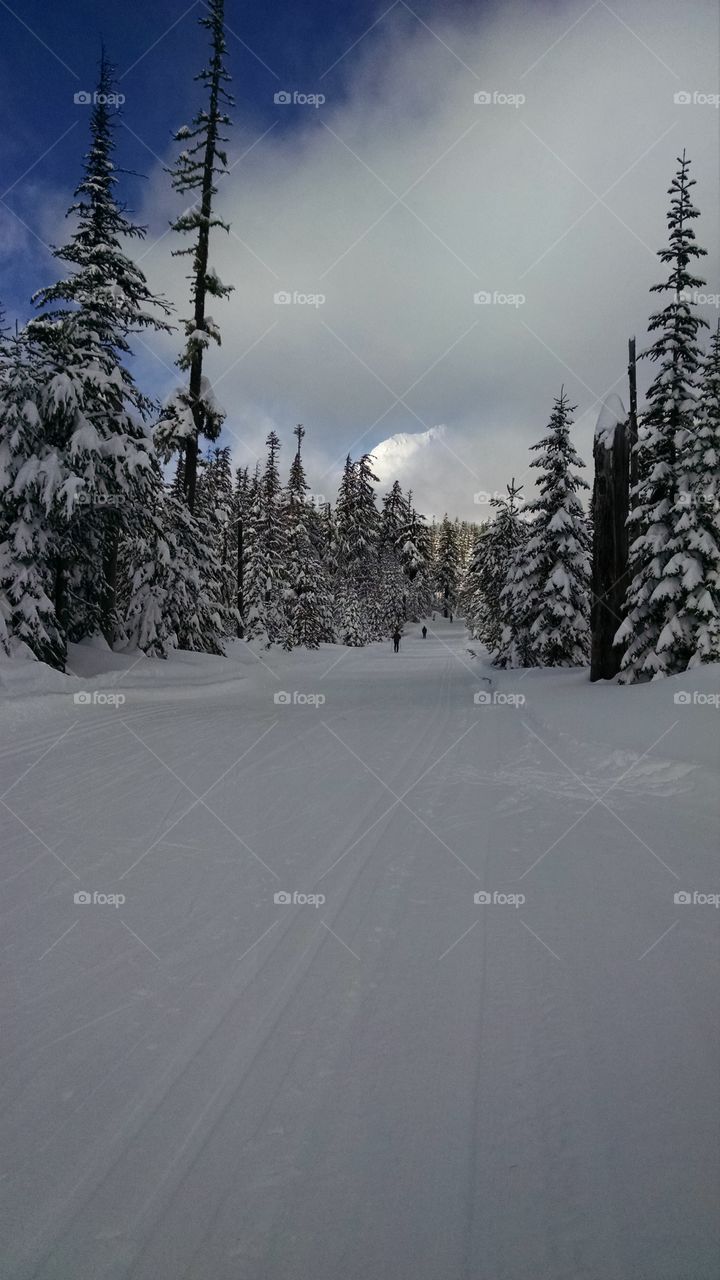 A person skiing in forest