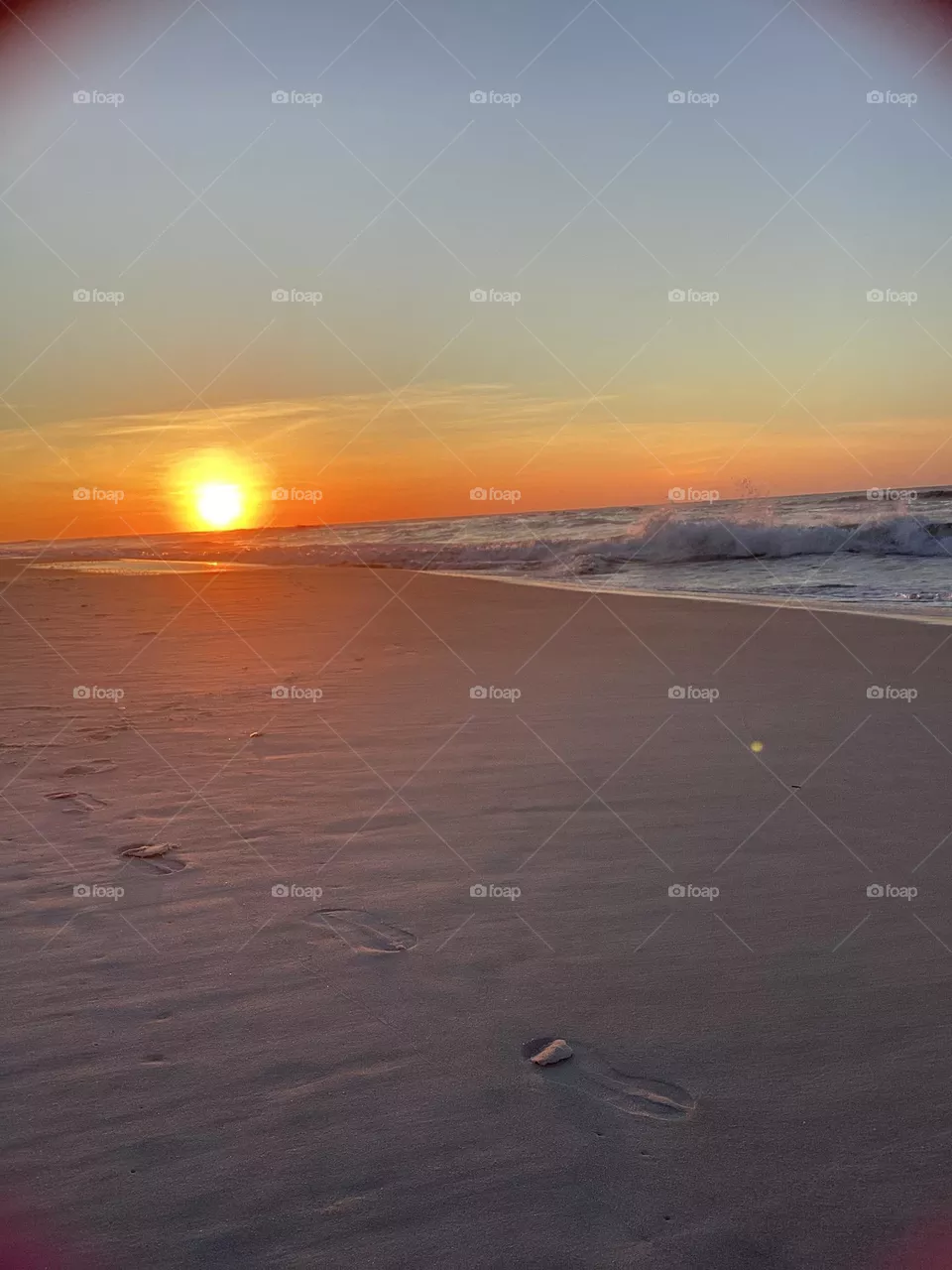 Beach Life 