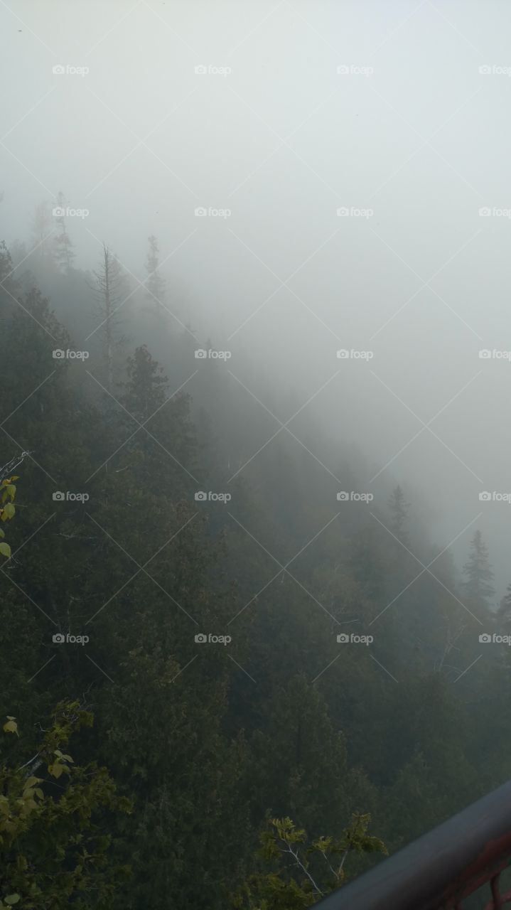 Fog, Mist, Landscape, Tree, People
