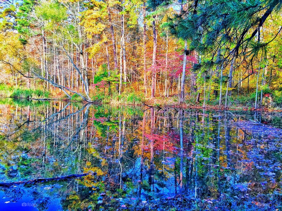 Beautiful fall on the lake in the forest
