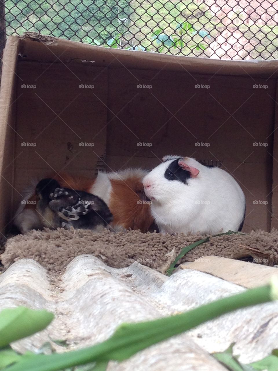 Family is family, it doesn't matter how it is compose