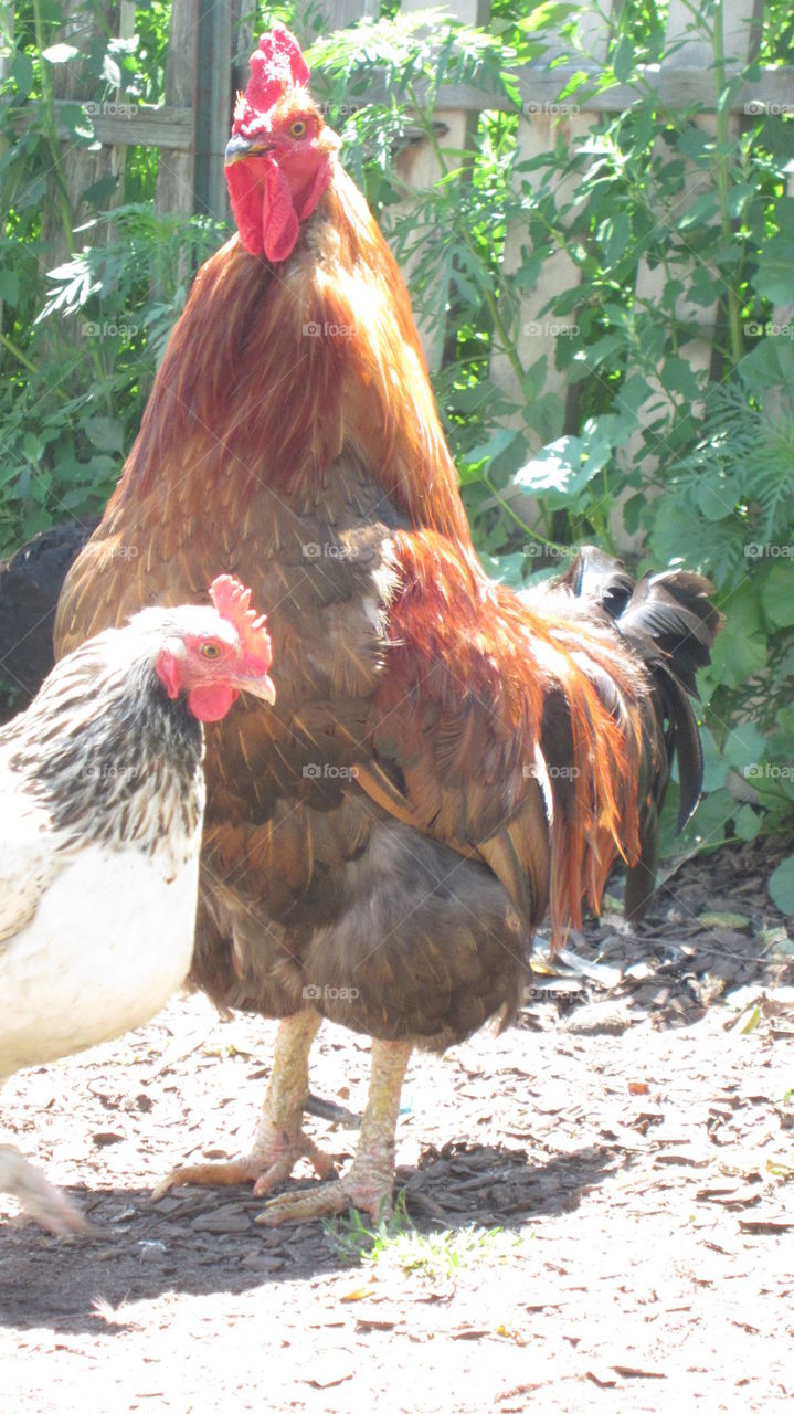 Me and You makes two