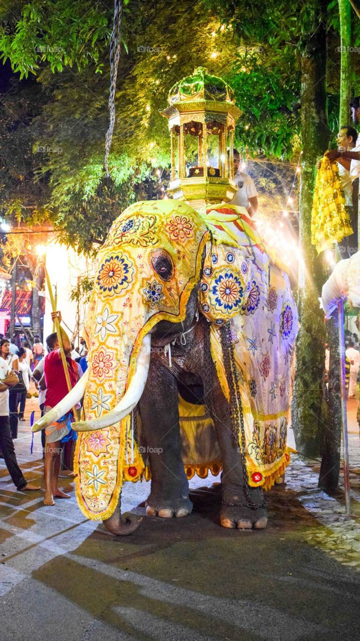 how much do you like this photo