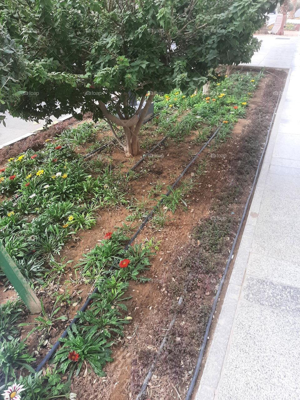 I need support I'm very poor