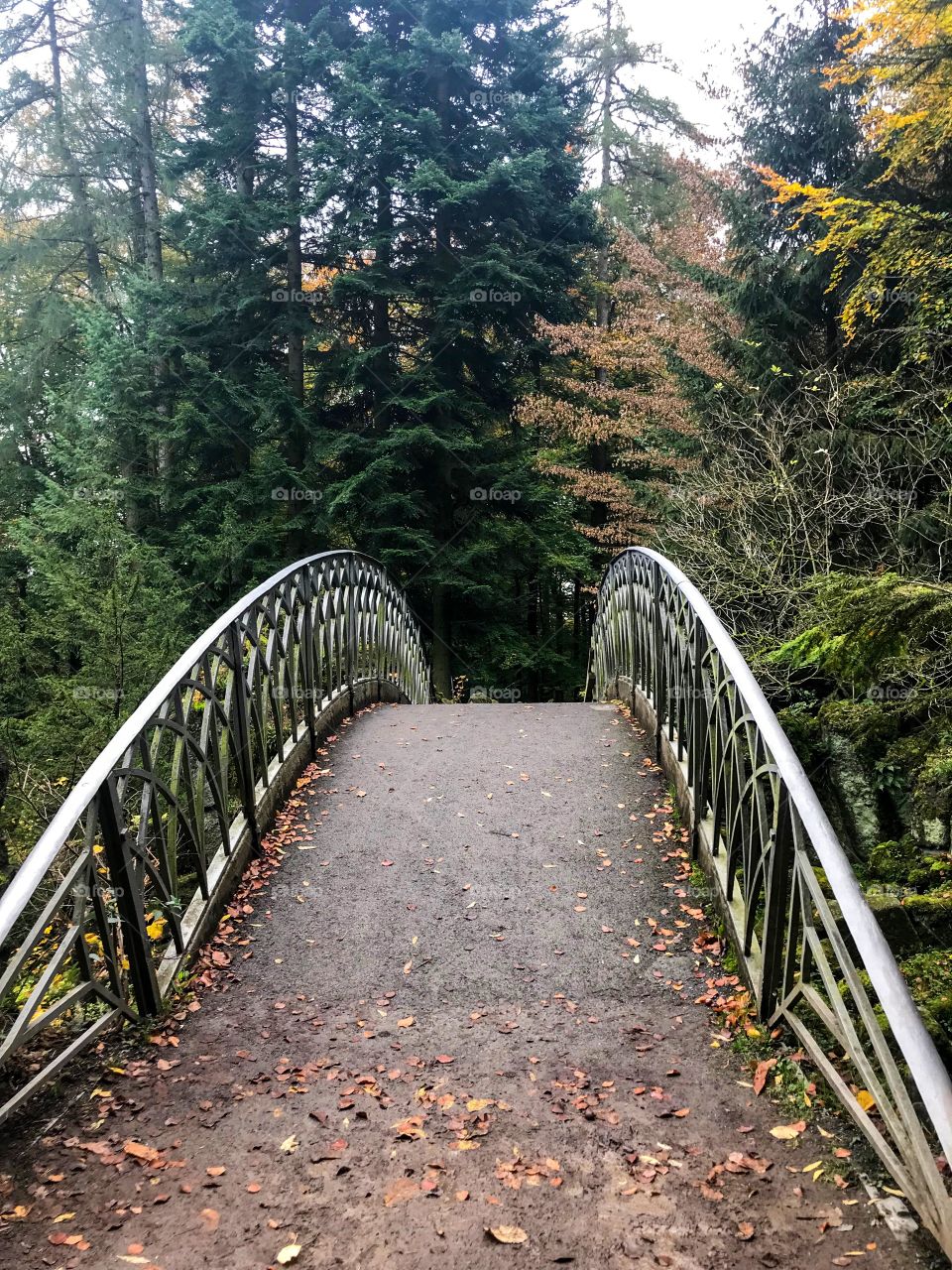 a small bridge in the nature, 2 sides of the bridge are made of iron with patterns. There are many trees , changing seasons so it's a bit cold. leaves fell under the wet road surface