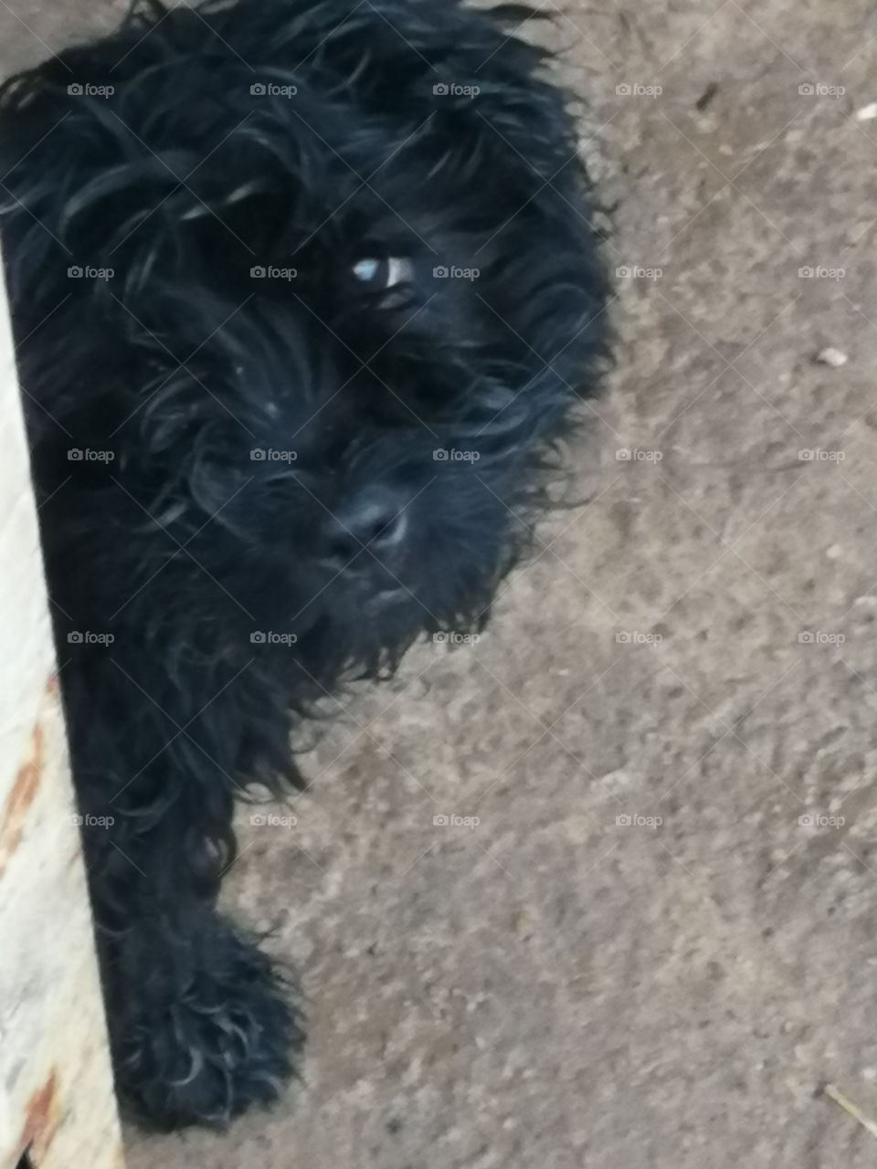 My name is Szotyi ♥️