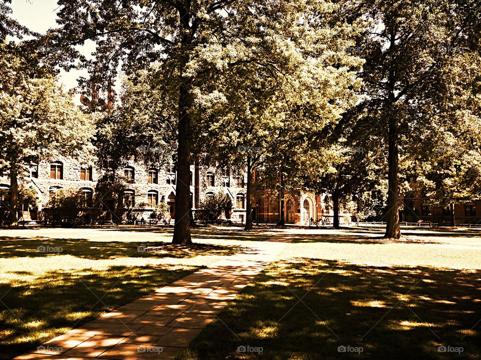Old Campus on Yale University