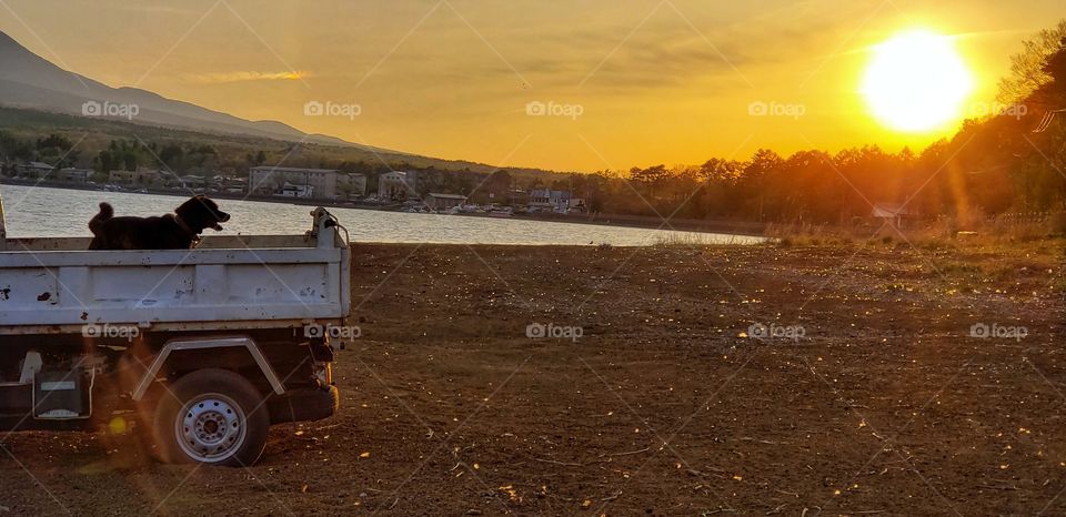 Sunset and the dog