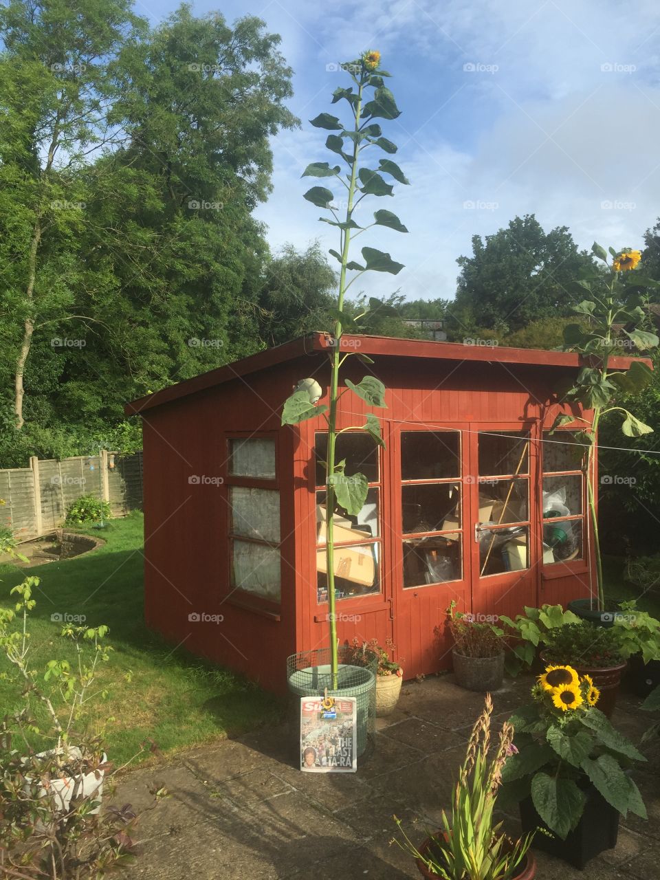 No Person, House, Architecture, Home, Building