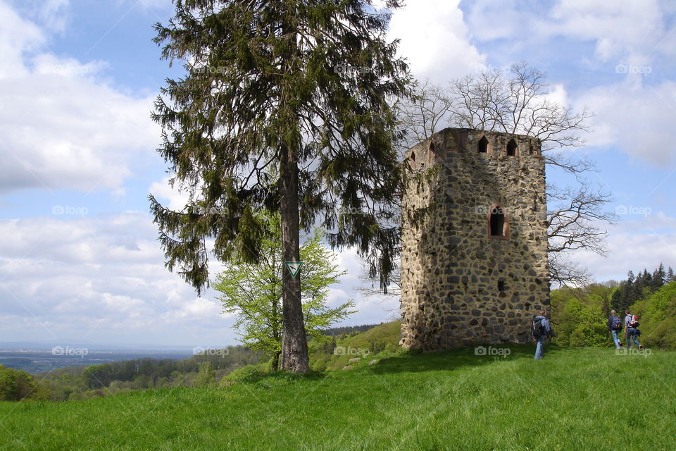 ruin with tree