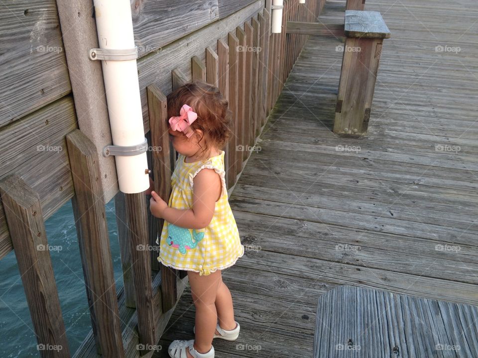 Ocean  watching . Folly Beach Pier