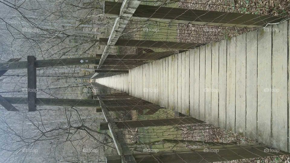 Red River Gorge Suspension Bridge