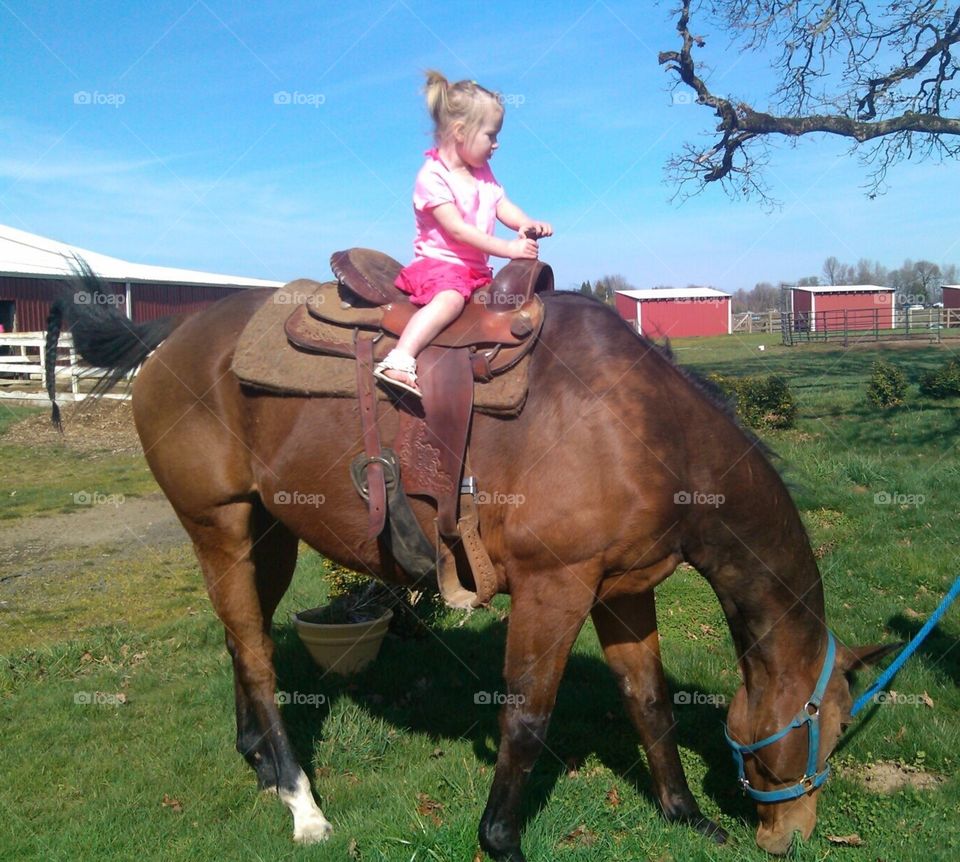 Toddler on horse
