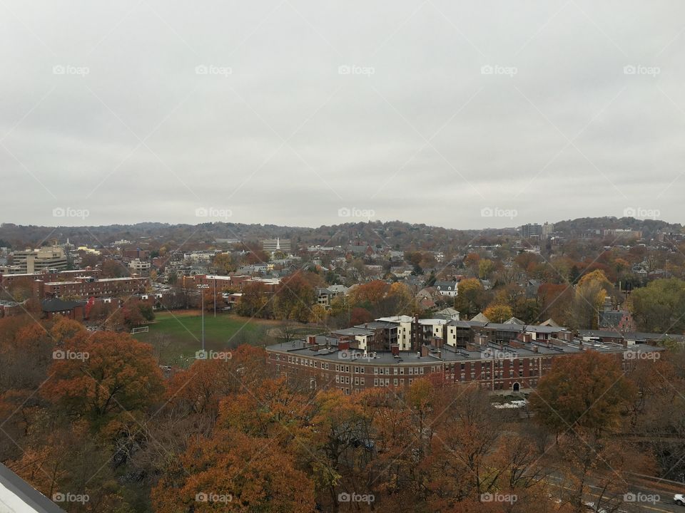 Skyline Boston roof