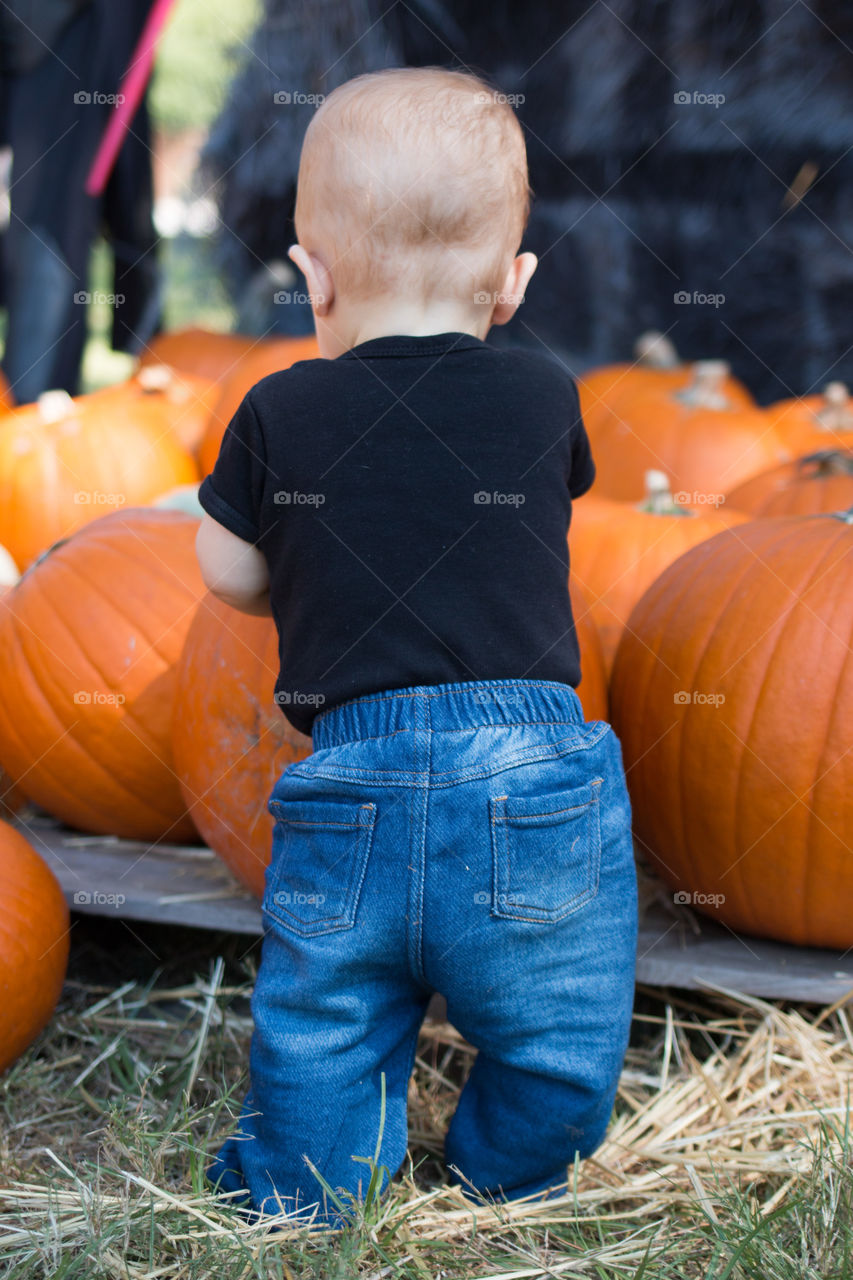 Rear view of boy standing near pumpkins