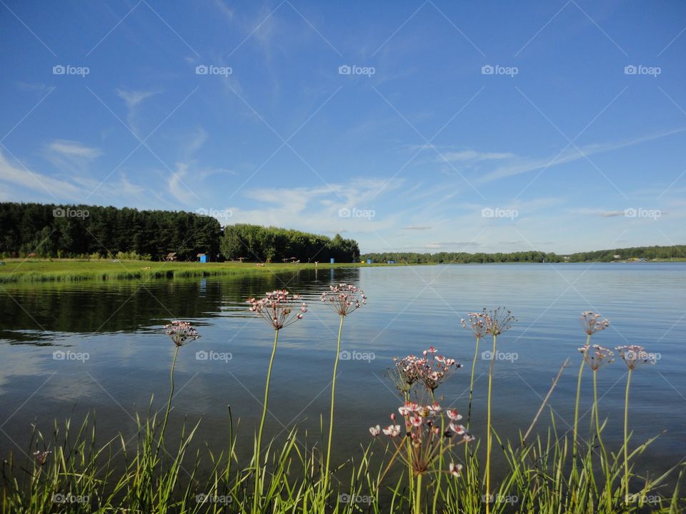 Lake, No Person, Water, Landscape, Reflection