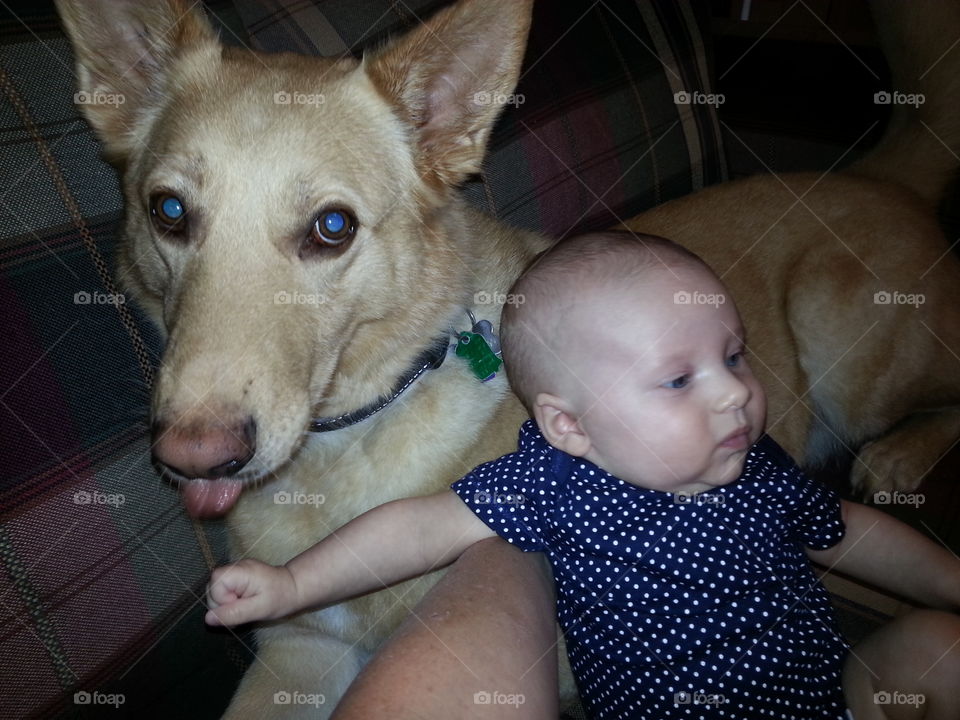 babysitting. my niece and my dog hanging out.