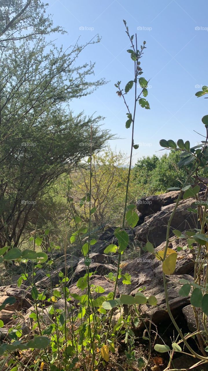 mmmhmm2001@gmail.com