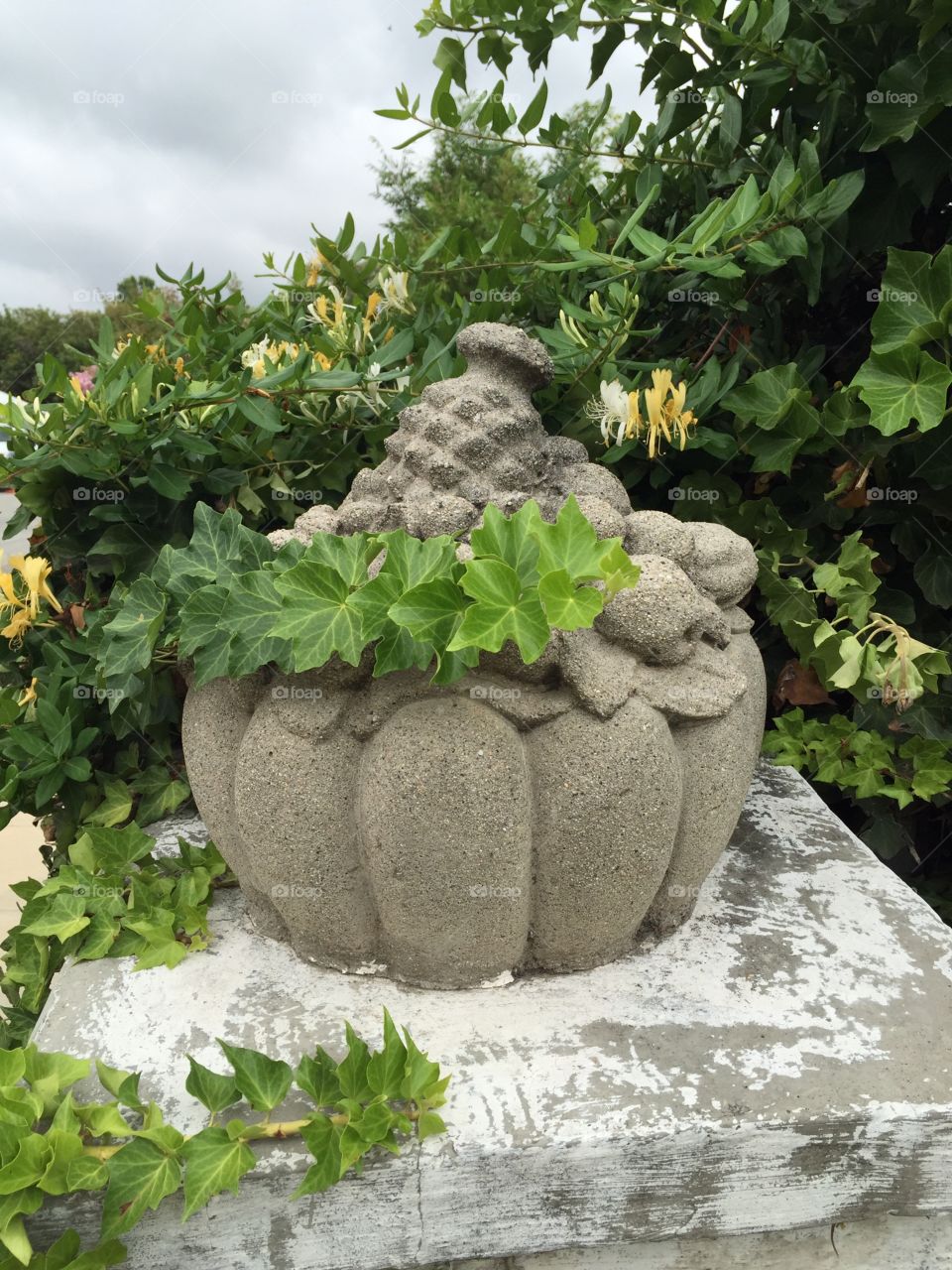 Pumpkin . Stone pumpkin 