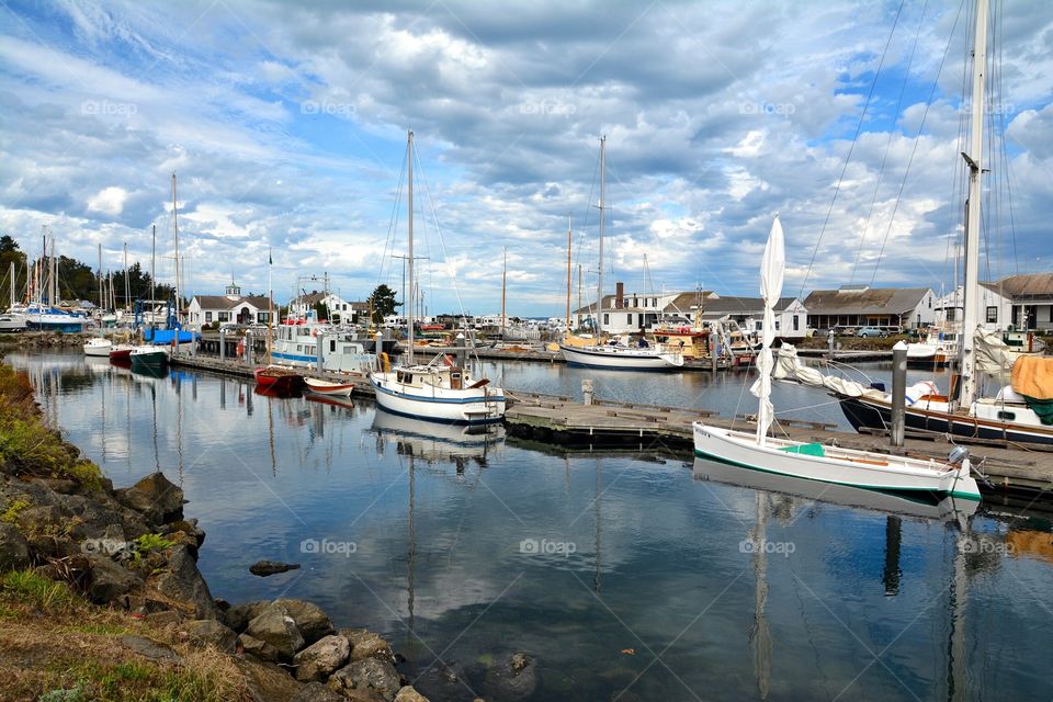 Marina Reflection