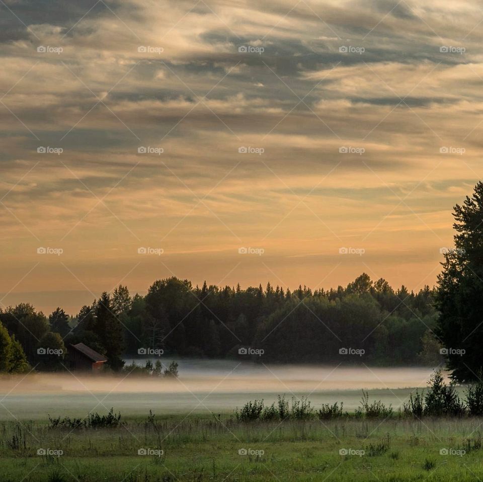 Foggy evening in Uppland