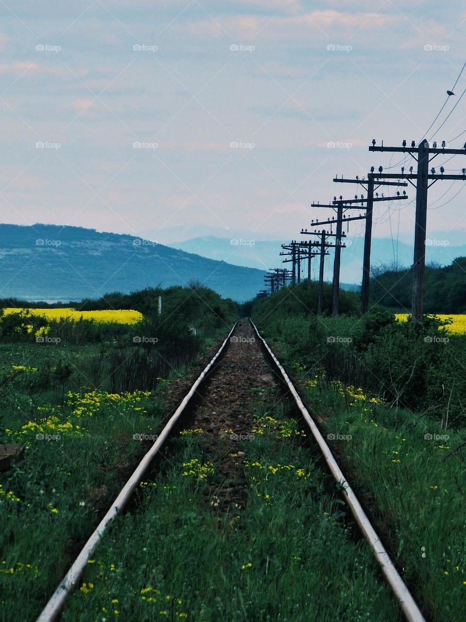 commuting by train