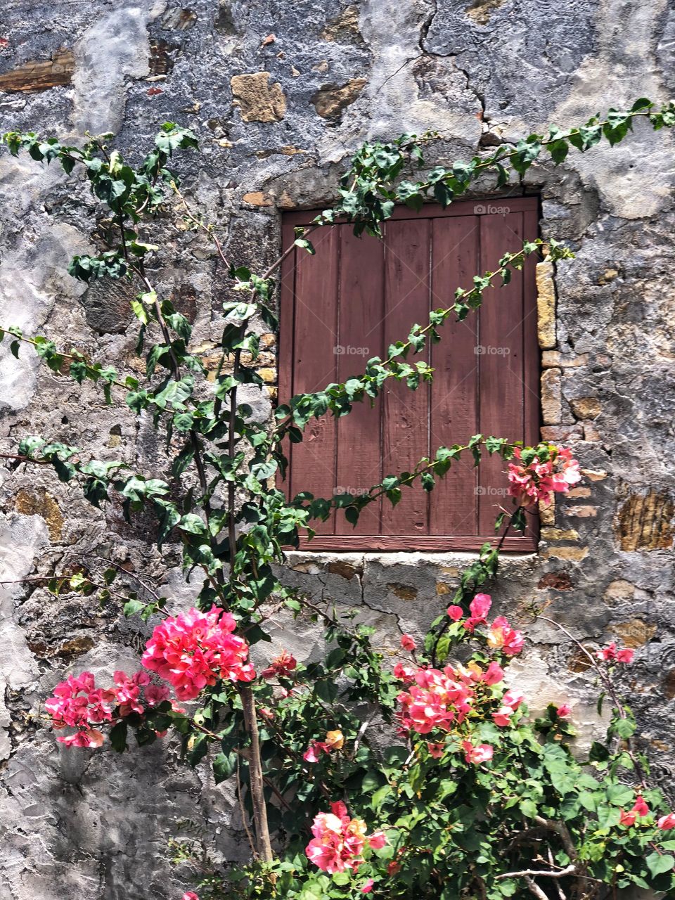 Flowers in front of door and ruins 