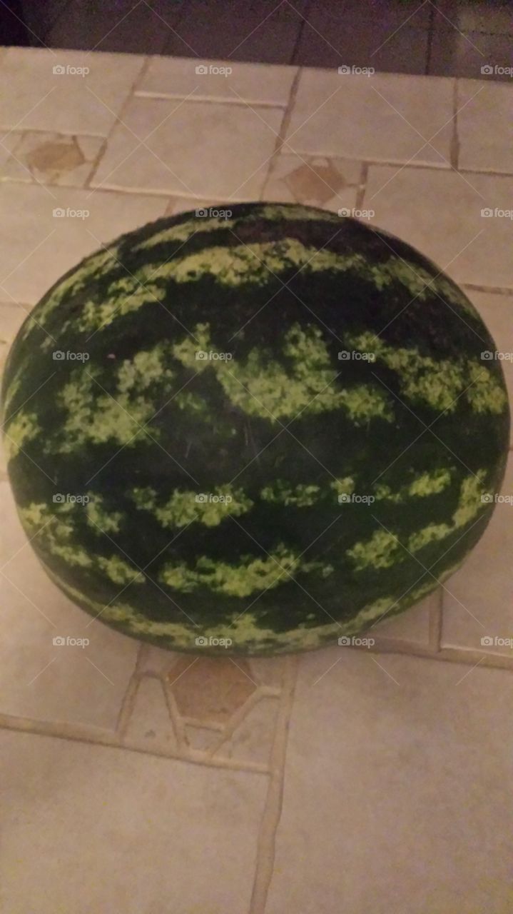 watermelon