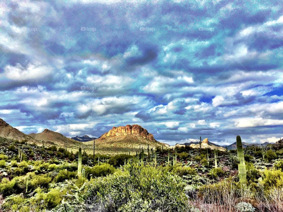 Desert Landscape of Arizona. Desert Landscape taken in the Superstition Mountains near Phoenix, Arizona.